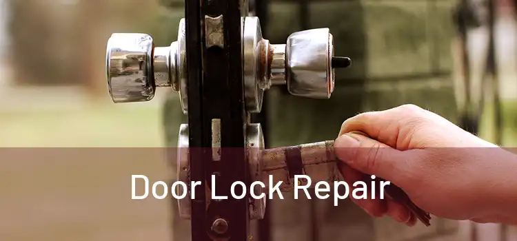 Door Lock Repair